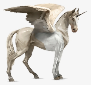 #horse #alado #aladus #cavalo #asas #wings #mikah014 - Akhal Tekini Howrse, HD Png Download, Transparent PNG