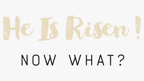 He Is Risen Now What - Calligraphy, HD Png Download, Transparent PNG
