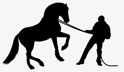 Cavalo, Homem, Formação, Selvagem, Silhueta, Animal, - Horse Trainer Silhouette, HD Png Download, Transparent PNG