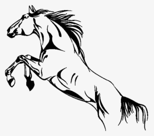 Clip Art Desenho Cavalo Png - Horse, Transparent Png, Transparent PNG