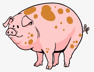 Pig Cartoon Transparent Clipart , Png Download - Transparent Pig Png Cartoon, Png Download, Transparent PNG