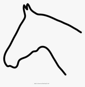 Horse Coloring Page - Line Art, HD Png Download, Transparent PNG