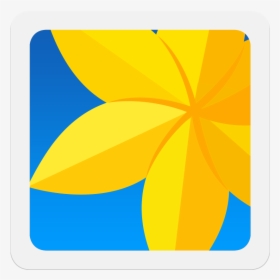 Gallery Logo Icon Png, Transparent Png, Transparent PNG