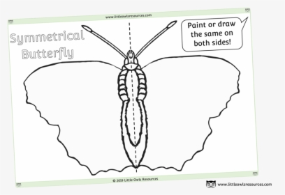 Symmetrical Blank Butterfly Sheet - Sketch, HD Png Download, Transparent PNG