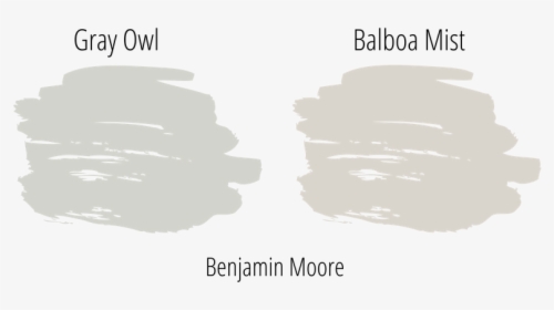 Gray Owl Next To Balboa Mist, Both Popular Neutral - White Paint Swatch Png, Transparent Png, Transparent PNG