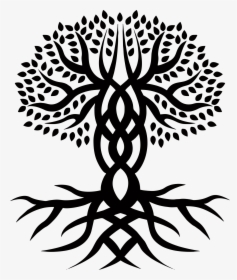 Celtic Tree Of Life, HD Png Download, Transparent PNG