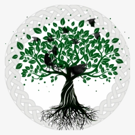 Knot Clipart Tree - Life Of Tree Drawing Transparent Png, Png Download, Transparent PNG