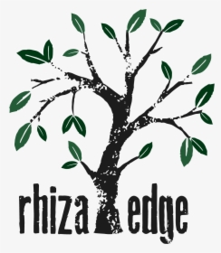 Illustration - Rhiza Press, HD Png Download, Transparent PNG