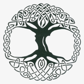 Knot Celts Sacred Trees - Celtic Tree Of Life Vector, HD Png Download, Transparent PNG