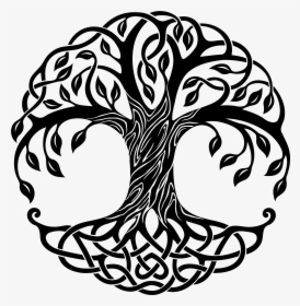 Black And White Stock Celtic Drawing Life - Transparent Tree Of Life, HD Png Download, Transparent PNG