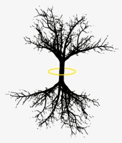 Tree Of Life Png - Coniferous Tree Long Roots, Transparent Png, Transparent PNG