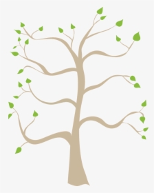 Family Tree Coloring Pages Printable Free Family Tree - Family Tree Tree Transparent Background, HD Png Download, Transparent PNG