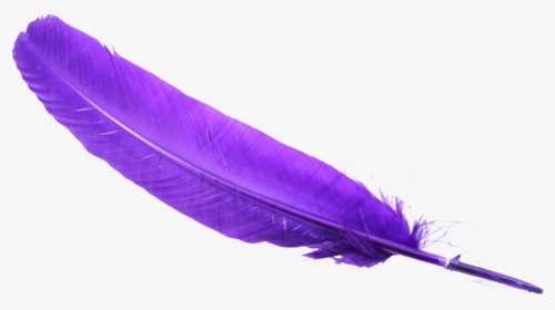 #purple #feather #png #overlay #overlayicon #icon #iconoverlay - Transparent Background Feather Clipart, Png Download, Transparent PNG