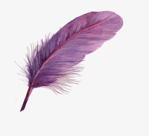 Feather Png Download - Feather Icon, Transparent Png, Transparent PNG