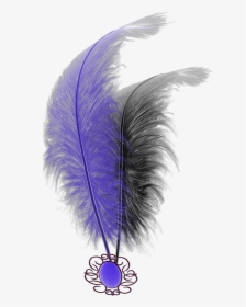 #mq #purple #black #feathers #feather - Feather, HD Png Download, Transparent PNG