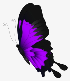 Grains Clipart Feather - Red Butterfly Png Transparent, Png Download, Transparent PNG