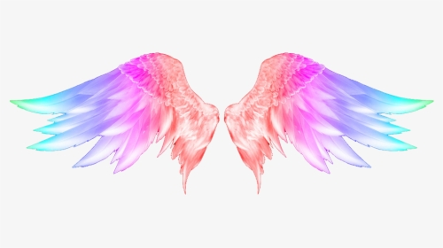 Angel Wings Png Hd, Transparent Png, Transparent PNG