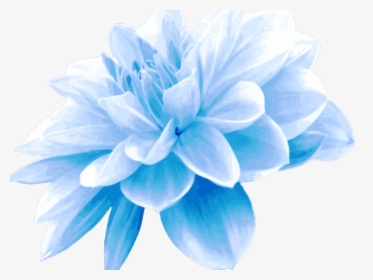 Teal Clipart Blue Green Flower - Light Blue Flower Png, Transparent Png, Transparent PNG
