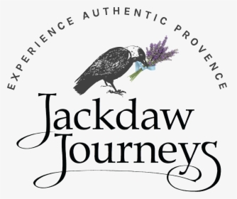 Jackdaw Journeys - Crow, HD Png Download, Transparent PNG