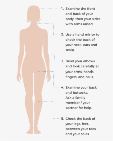 How To Check Your Skin Spots - Girl, HD Png Download, Transparent PNG