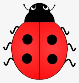 Lady Bird Clipart Clipart Collection U00ba Clipart - Ladybird With 2 Spots, HD Png Download, Transparent PNG