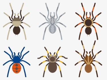 Arachnid Clipart Tarantula - Spider, HD Png Download, Transparent PNG