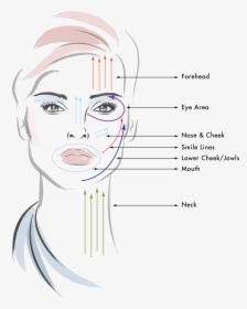 Anti Aging Face Massage Steps, HD Png Download, Transparent PNG