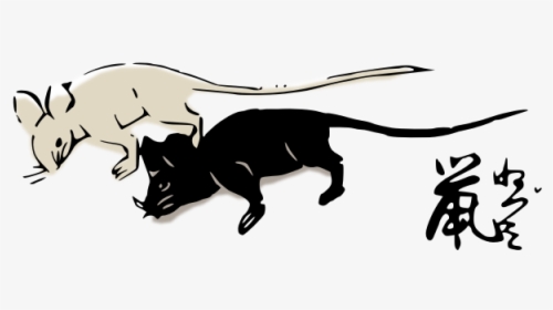 Mice-1574687480 - Raton Negro Y Raton Blanco, HD Png Download, Transparent PNG