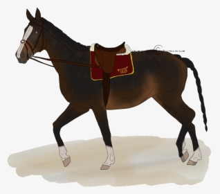 Mule Horse Silhouette - Horse, HD Png Download, Transparent PNG