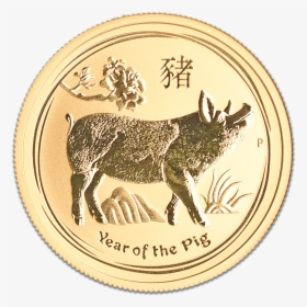 2400 X 2400 - Gold Coin Pig Png, Transparent Png, Transparent PNG