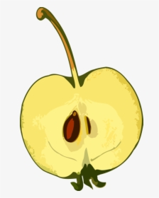 Plant,flower,apple, HD Png Download, Transparent PNG