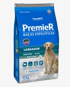 Premier Raças Específicas Labrador, HD Png Download, Transparent PNG