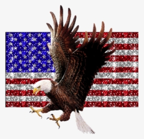 Transparent Bald Eagle Flying Png - Flying American Eagle Gif, Png Download, Transparent PNG