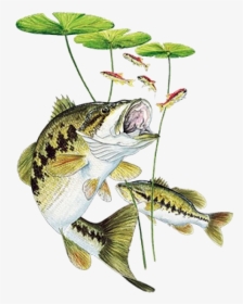 Bass Under Lily Pad Printed T-shirt   Class - Bass Fishing, HD Png Download, Transparent PNG