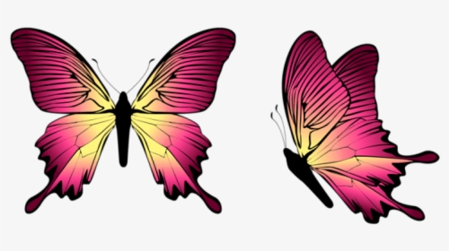 Free Png Download Butterfly Clipart Png Photo Png Images - Gambar Kupu Kupu Biru Dan Pink, Transparent Png, Transparent PNG