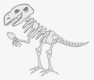 Thumb Image - Easy To Draw Dinosaur Skeleton, HD Png Download, Transparent PNG