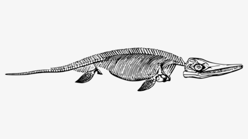 Dinosaur Fossil Png Logo, Transparent Png, Transparent PNG