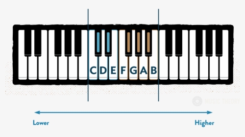 3-octave Keyboard Diagram With White Piano Notes Labelled - Piano Keyboard Clipart Transparent, HD Png Download, Transparent PNG