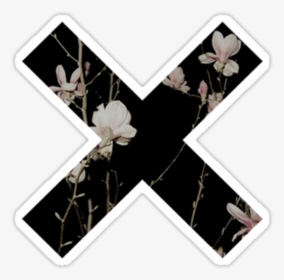 #cross #overlay #png #x #edit #tumblr #flower #munloit - Sticker Tumblr Png X, Transparent Png, Transparent PNG