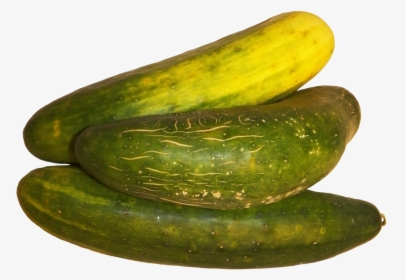 Three Cucumbers Clipart - Spreewald Gherkins, HD Png Download, Transparent PNG
