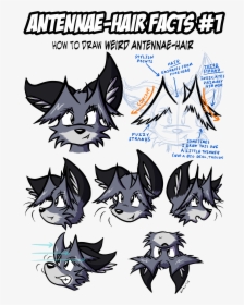 Antennae Hair, HD Png Download, Transparent PNG