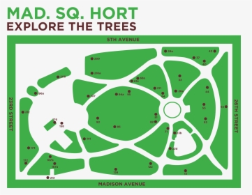 Madison Square Park Map, HD Png Download, Transparent PNG