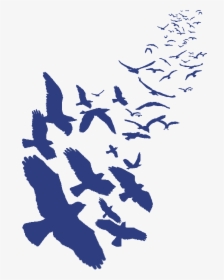 Ravencoin Logo - Crow Png, Transparent Png, Transparent PNG