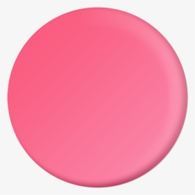Circle, HD Png Download, Transparent PNG