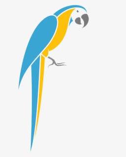 Macaw , Png Download - Perroquet Stylisé, Transparent Png, Transparent PNG