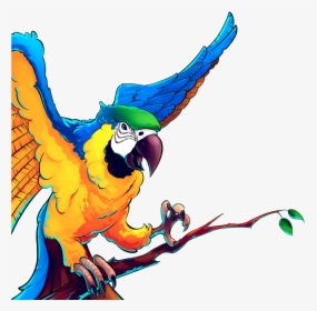 - Macaw Clipart , Png Download - Cartoon, Transparent Png, Transparent PNG