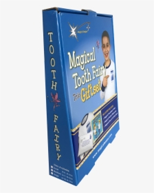 Magical Tooth Fairy Trio - Child, HD Png Download, Transparent PNG