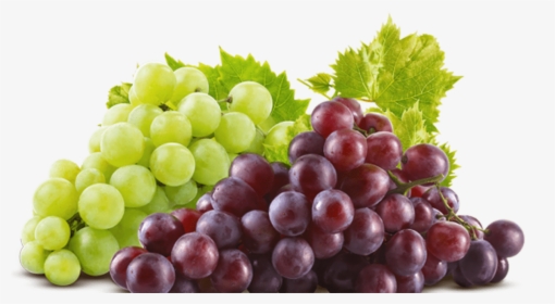 Red Grapes, HD Png Download, Transparent PNG
