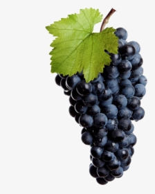 Red Wine Grapes Png, Transparent Png, Transparent PNG