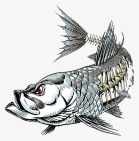 Tarpon Skeleton Clipart , Png Download - Fish Skinz, Transparent Png, Transparent PNG